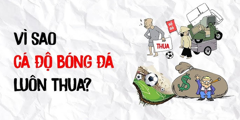Vì sao cá độ bóng đá luôn thua