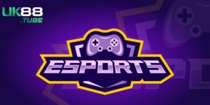 Có nhiều tiêu chí chọn web cá cược esport