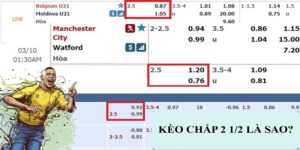 Cách xem tỷ lệ kèo châu Á 2.5 trái chính xác